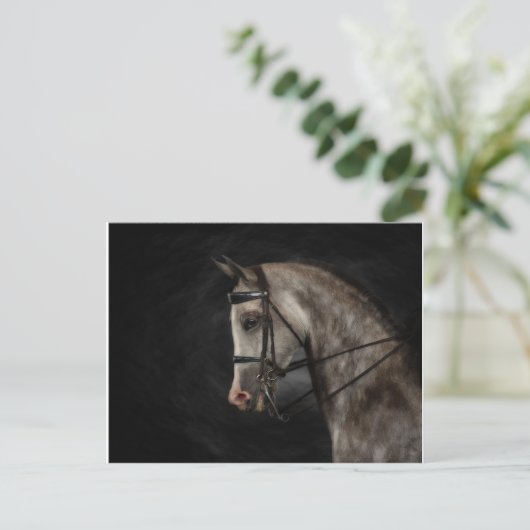 Die Klasse Arabiens Postkarte (Stehend Vorderseite)