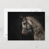 Die Klasse Arabiens Postkarte (Vorne/Hinten)