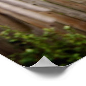 Die Kleiderlinie [Kunstdruck] Poster (Ecke)