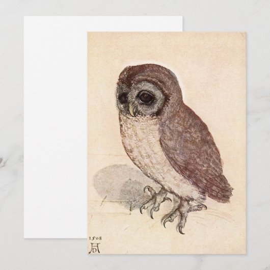 Die kleine Eule | Albrecht Dürer (Vorne/Hinten)