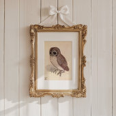 Die kleine Eule | Albrecht Dürer Karte