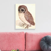 Die kleine Eule | Albrecht Dürer Leinwanddruck (Insitu (Wohnzimmer))