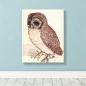 Die kleine Eule | Albrecht Dürer Leinwanddruck (Insitu (Holzboden))