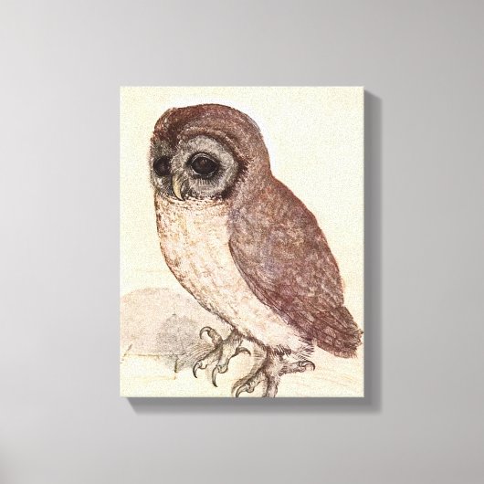 Die kleine Eule | Albrecht Dürer Leinwanddruck (Vorderseite)
