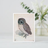 Die kleine Eule, Albrecht Durer Postkarte (Stehend Vorderseite)