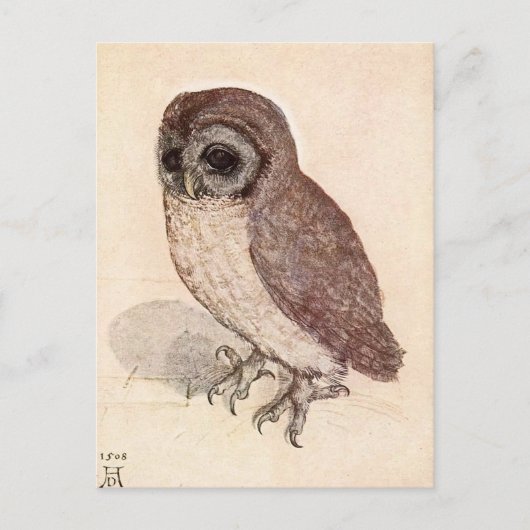 Die kleine Eule | Albrecht Dürer Postkarte (Vorderseite)