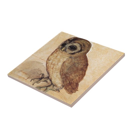 Die kleine Eule durch Albrecht Durer Fliese (Seite)