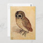 Die kleine Eule von Albrecht Durer Postkarte (Vorne/Hinten)
