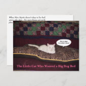 Die kleine Katze, die ein großes Hundebett Wollte Postkarte (Vorne/Hinten)