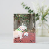 Die kleine Katze Postkarte (Stehend Vorderseite)