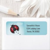 Die kleine Ladybug aus Blauer und Rotem Himmel ist (Insitu)