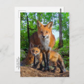 "Die kleine Mutter" Postkarte (Vorne/Hinten)