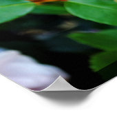 Die kleine Rose Poster (Ecke)