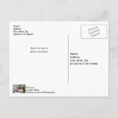 Die kleine rote Bridge-Blank-Postkarte Postkarte (Rückseite)