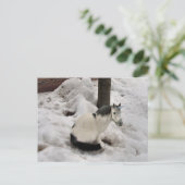 Die kleine Unikat Postkarte (Stehend Vorderseite)