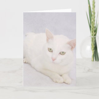 Die kleine weiße Katze Karte