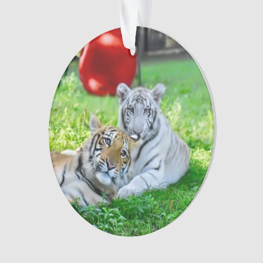 Die kleinen Jungen - Ornament (Vorderseite)