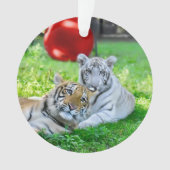 Die kleinen Jungen - Ornament (Vorderseite)