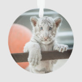 Die kleinen Jungen - Ornament (Rückseite)