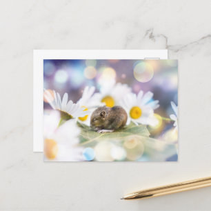 Die Kleinigkeiten Postkarte