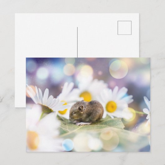 Die Kleinigkeiten Postkarte (Vorne/Hinten)