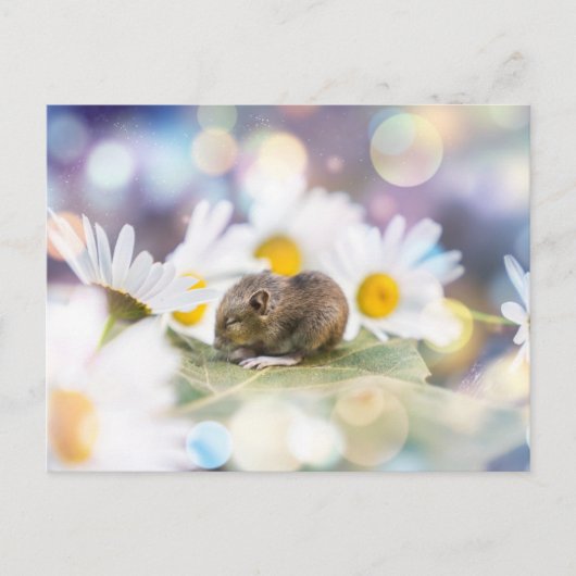 Die Kleinigkeiten Postkarte (Vorderseite)