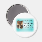 Die kleinste Chihuahua... Magnet (Vorderseite/Rückseite)