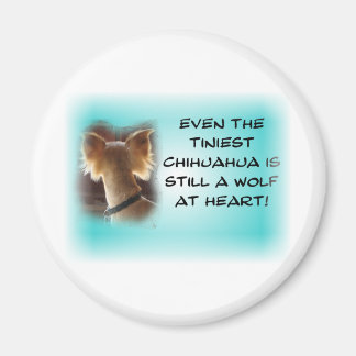 Die kleinste Chihuahua... Magnet