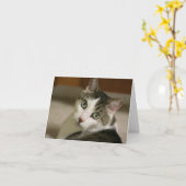 Die kleinsten Tiger-Mitteilungskarten Karte (Gelbe Blume)