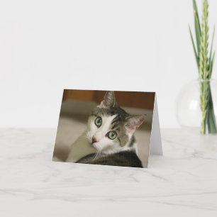 Die kleinsten Tiger-Mitteilungskarten Karte