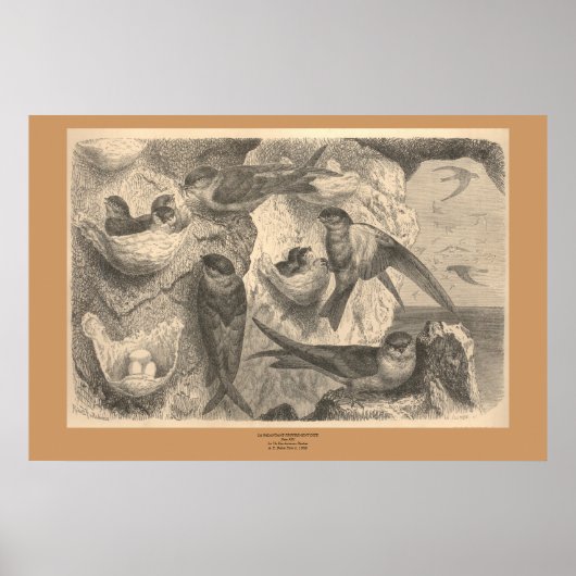 Die Klippe verschluckt Poster (Vorne)