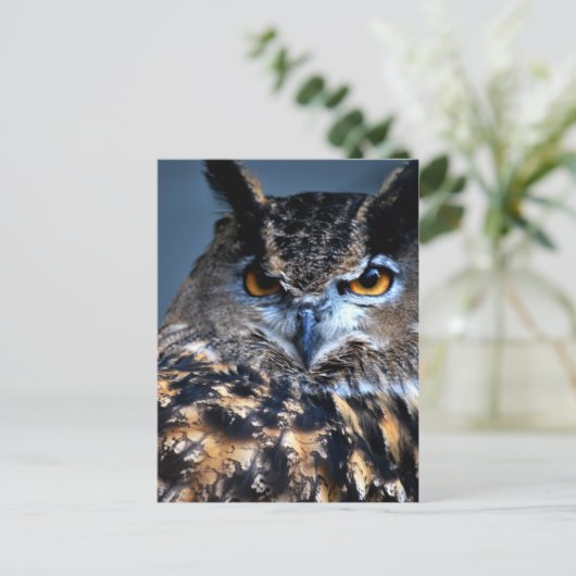 Die kluge Postkarte (Stehend Vorderseite)