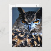 Die kluge Postkarte (Vorne/Hinten)