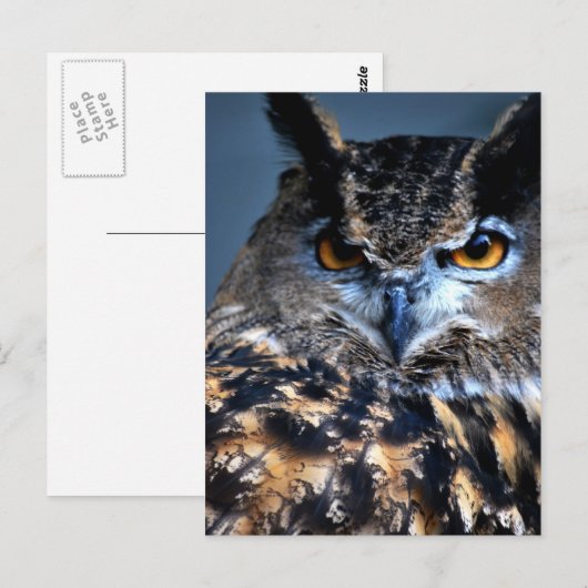 Die kluge Postkarte (Vorne/Hinten)