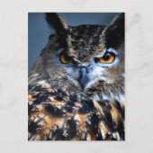 Die kluge Postkarte (Vorderseite)