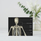 Die Knochen des Oberkörpers Postkarte (Stehend Vorderseite)