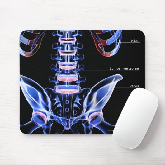 Die Knochen des unteren Rückens Mousepad (Mit Mouse)