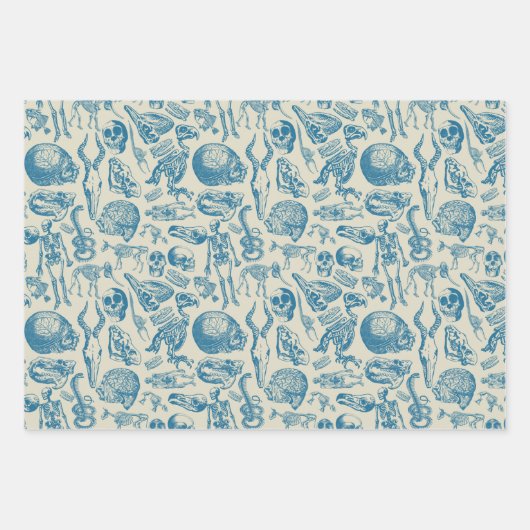 Die Knochensammlung Geschenkpapier Set (Vorderseite 3)