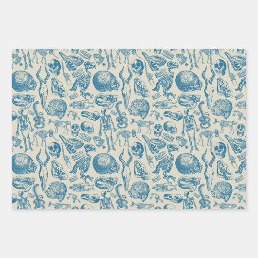 Die Knochensammlung Geschenkpapier Set (Vorderseite 2)