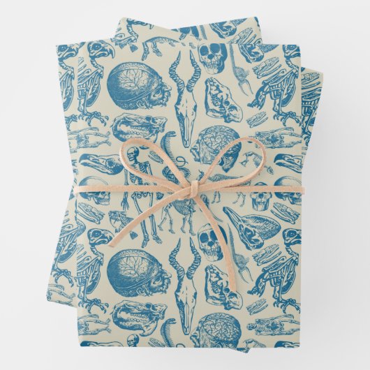 Die Knochensammlung Geschenkpapier Set (Beispiel)