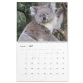Die Koalas Kalender (Jan 2027)