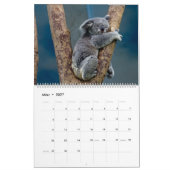 Die Koalas Kalender (Mär 2027)
