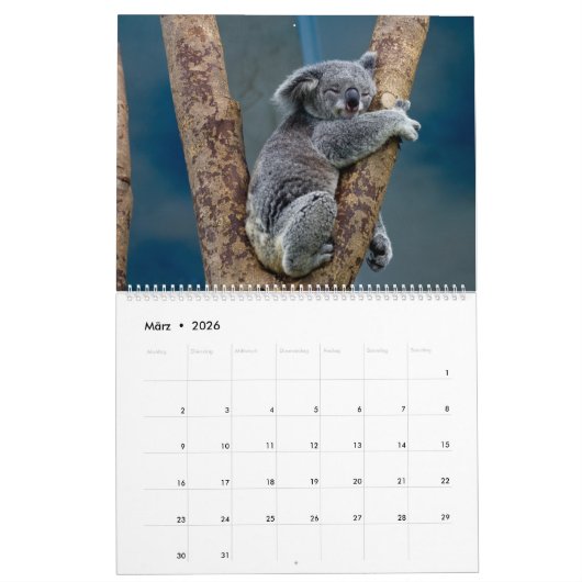 Die Koalas Kalender (Mär 2026)
