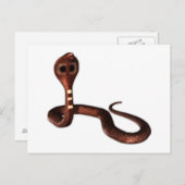 Die Kobra, tödliche Schlange Postkarte (Vorne/Hinten)