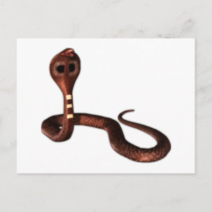 Die Kobra, tödliche Schlange Postkarte