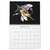 Die Koi Reihe, durch Schwester C Kalender (Feb 2026)