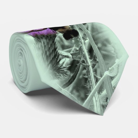 Die Kolibri-Motte Krawatte (Gerollt)