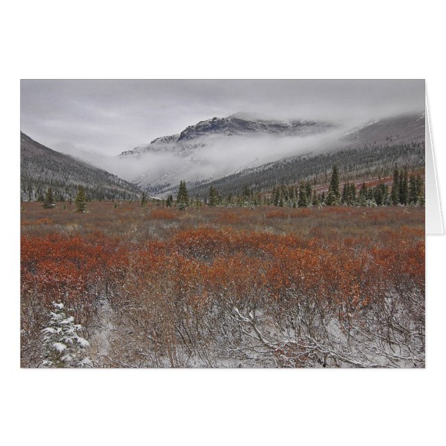 Die kommenden Winter (Vorderseite (Horizontal))