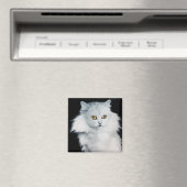 DIE KÖNIGIN DER WEISSEN KATZEN MAGNET (In Situ (Geschirrspüler))