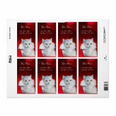 DIE KÖNIGIN DER WEISSEN KATZEN, RUBY (Vorne)